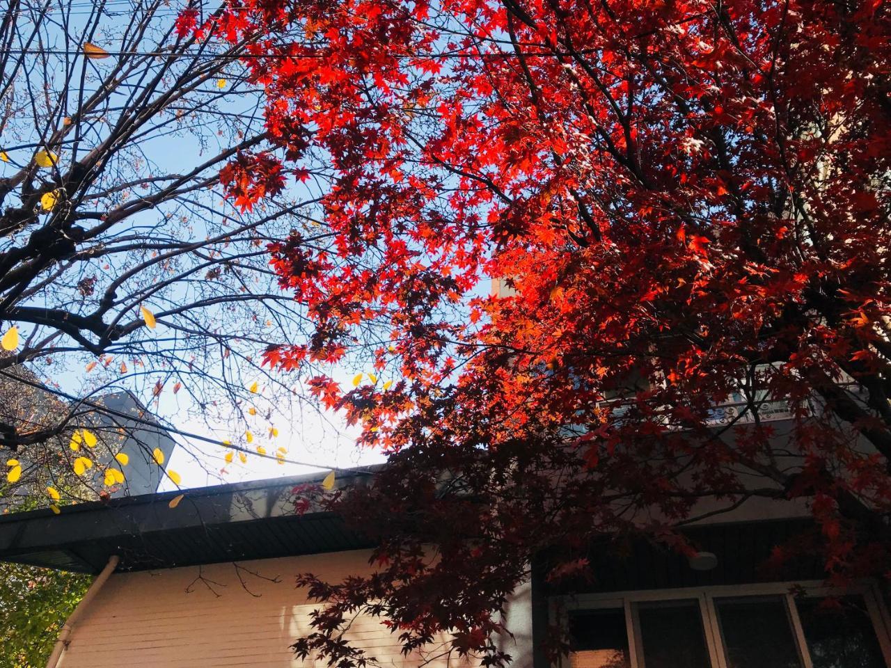 Naru Guesthouse Seoul Exterior photo