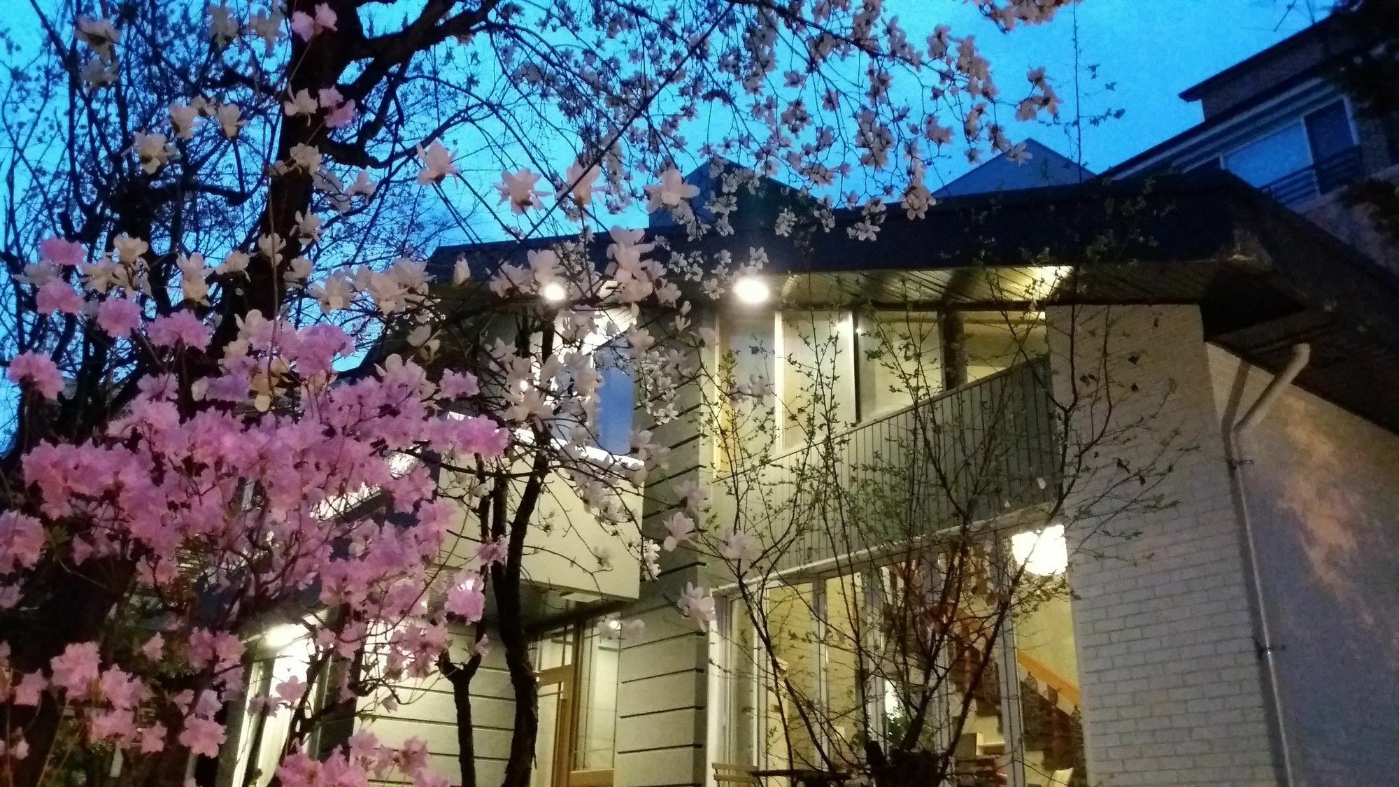 Naru Guesthouse Seoul Exterior photo